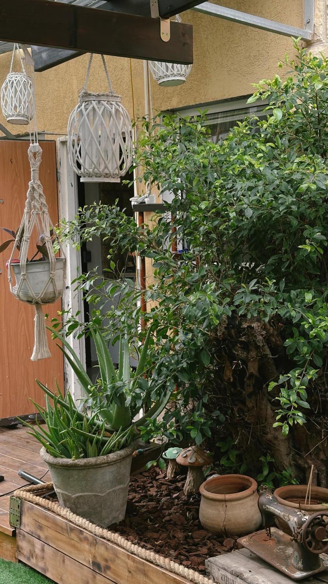 Dream House Art Hostel Garden And Terrace Haifa Exteriér fotografie